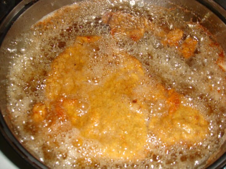 Después de freír las milanesas, el aceite se lo toma un puma