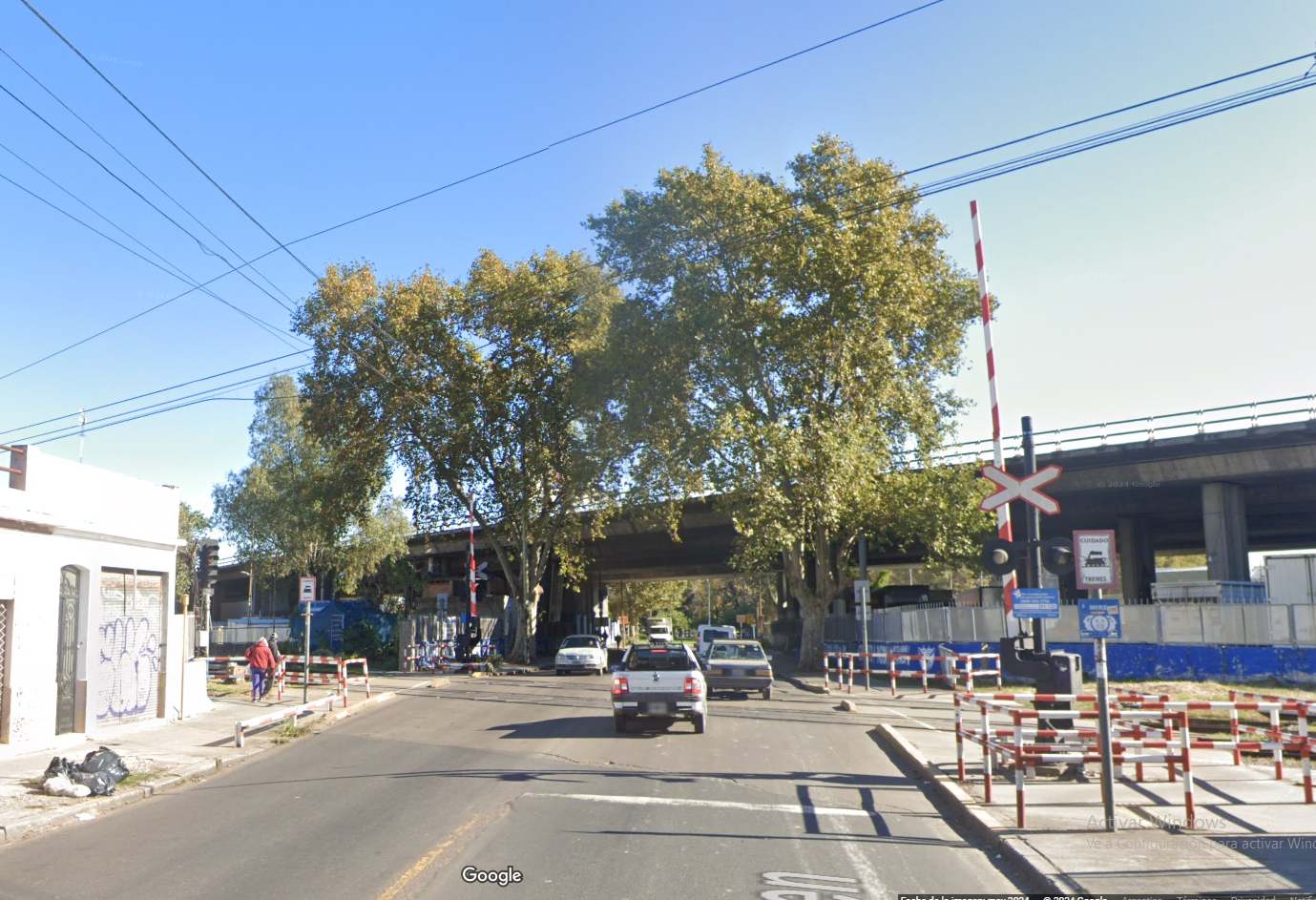 De sapitos y refritos, la fábula urbana del Ferrocarril Sarmiento